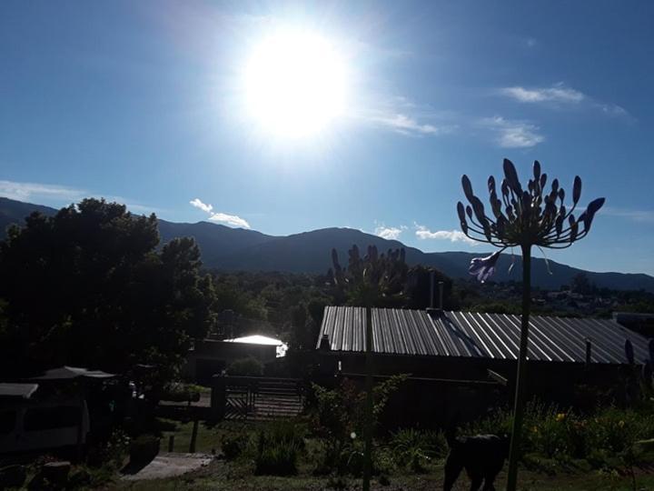 Crisol 21