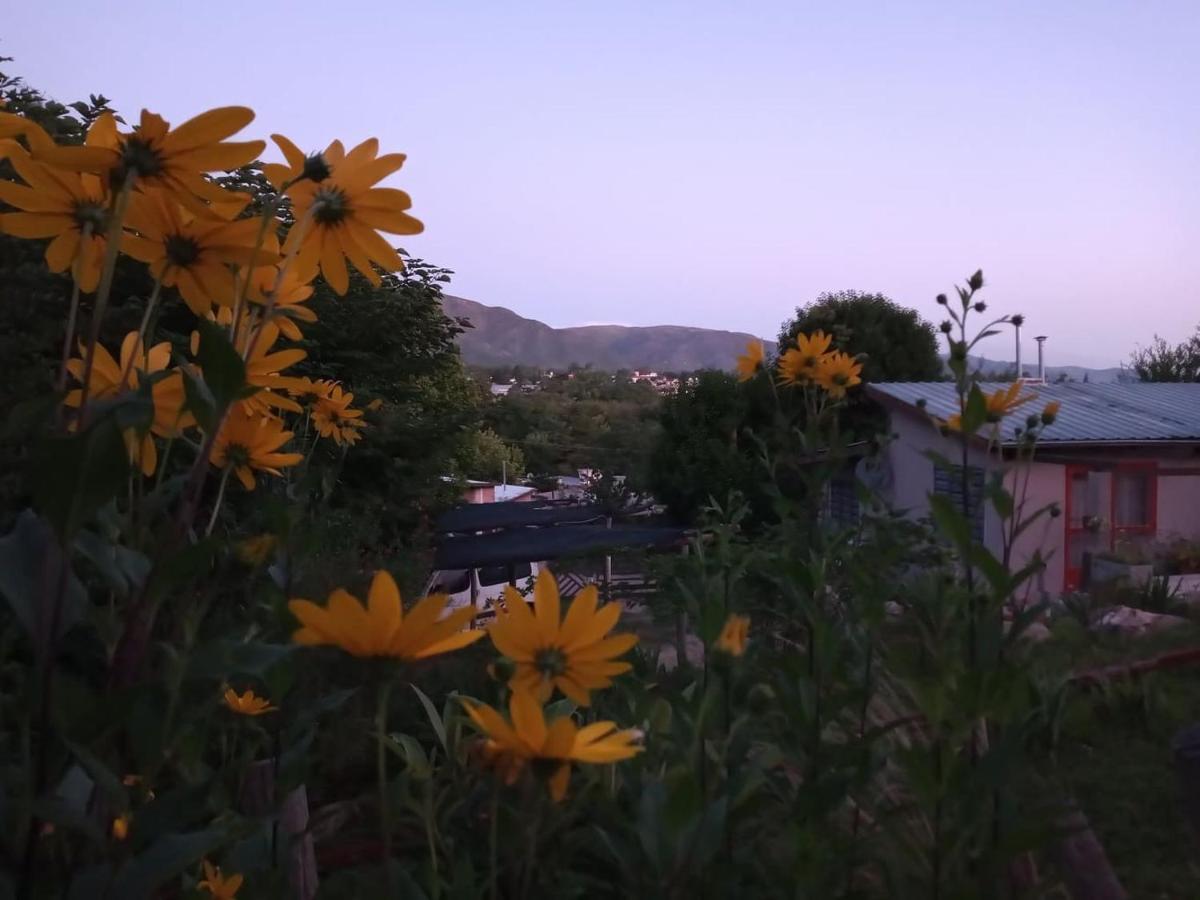 Lodge Crisol 21