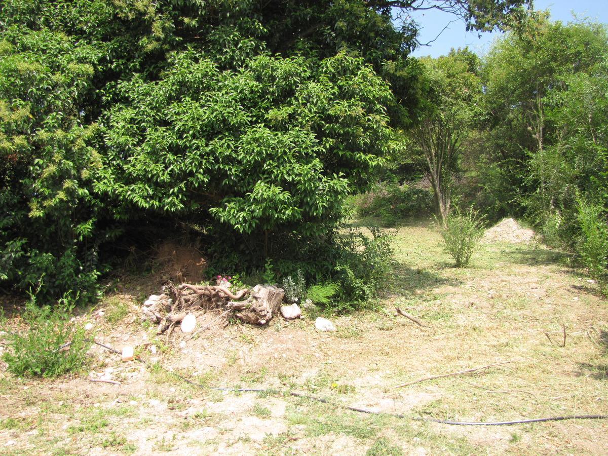 Crisol 21 * Huerta Grande